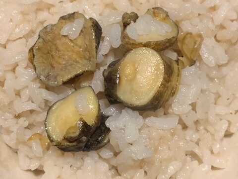 つぶ貝の炊き込みご飯